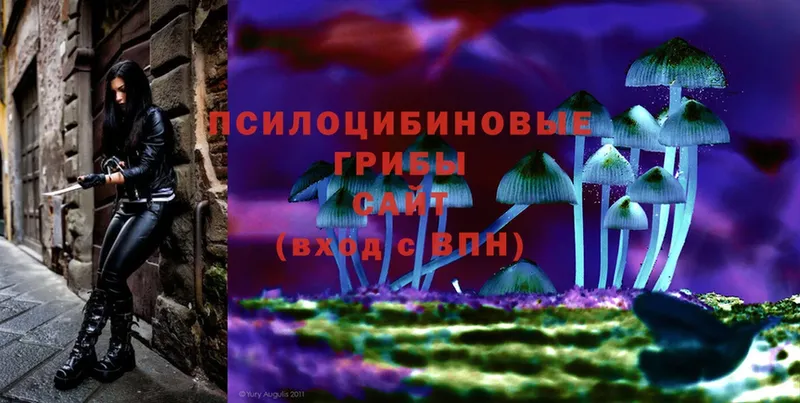 Галлюциногенные грибы Psilocybine cubensis Воркута